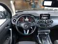 Mercedes-Benz X 250 X -Klasse X 250 d 4Matic Doppelkabine 2WD Schwarz - thumbnail 12