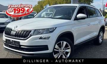 2.0 TDI DSG Ambition AHK Leder Navi Temp.