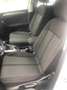 Volkswagen T-Roc 1.0 TSI UFFICIALE VARIE DISPONIBILITA PREZZO REALE Blanc - thumbnail 17