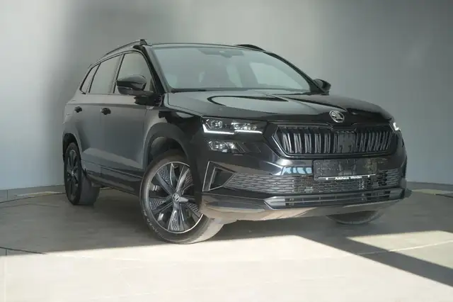 Skoda Karoq main image