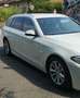 BMW 520 520 d Touring Business 190cv autom. Bianco - thumbnail 6