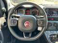 Fiat Panda My24 1.0 70cv Hybrid Panda Blu/Azzurro - thumbnail 7