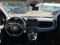 Fiat Panda My24 1.0 70cv Hybrid Panda Blu/Azzurro - thumbnail 6