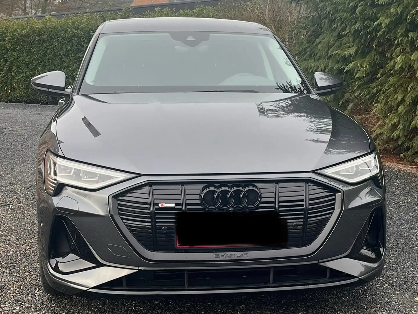 Audi e-tron e-tron 55 quattro S line Gris - 2
