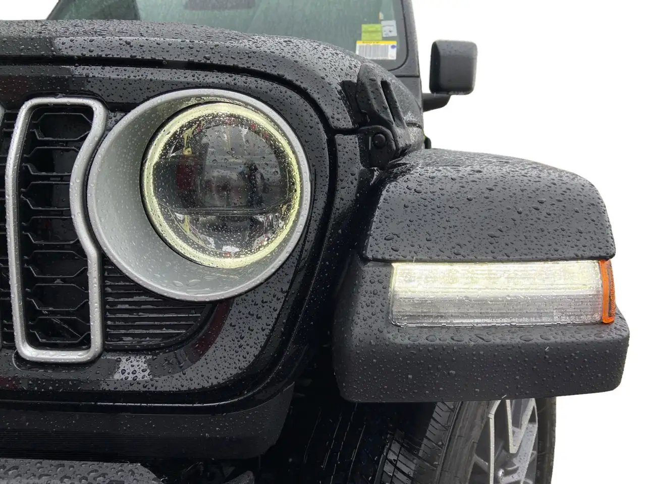 Jeep Wrangler снимка Jeep Wrangler