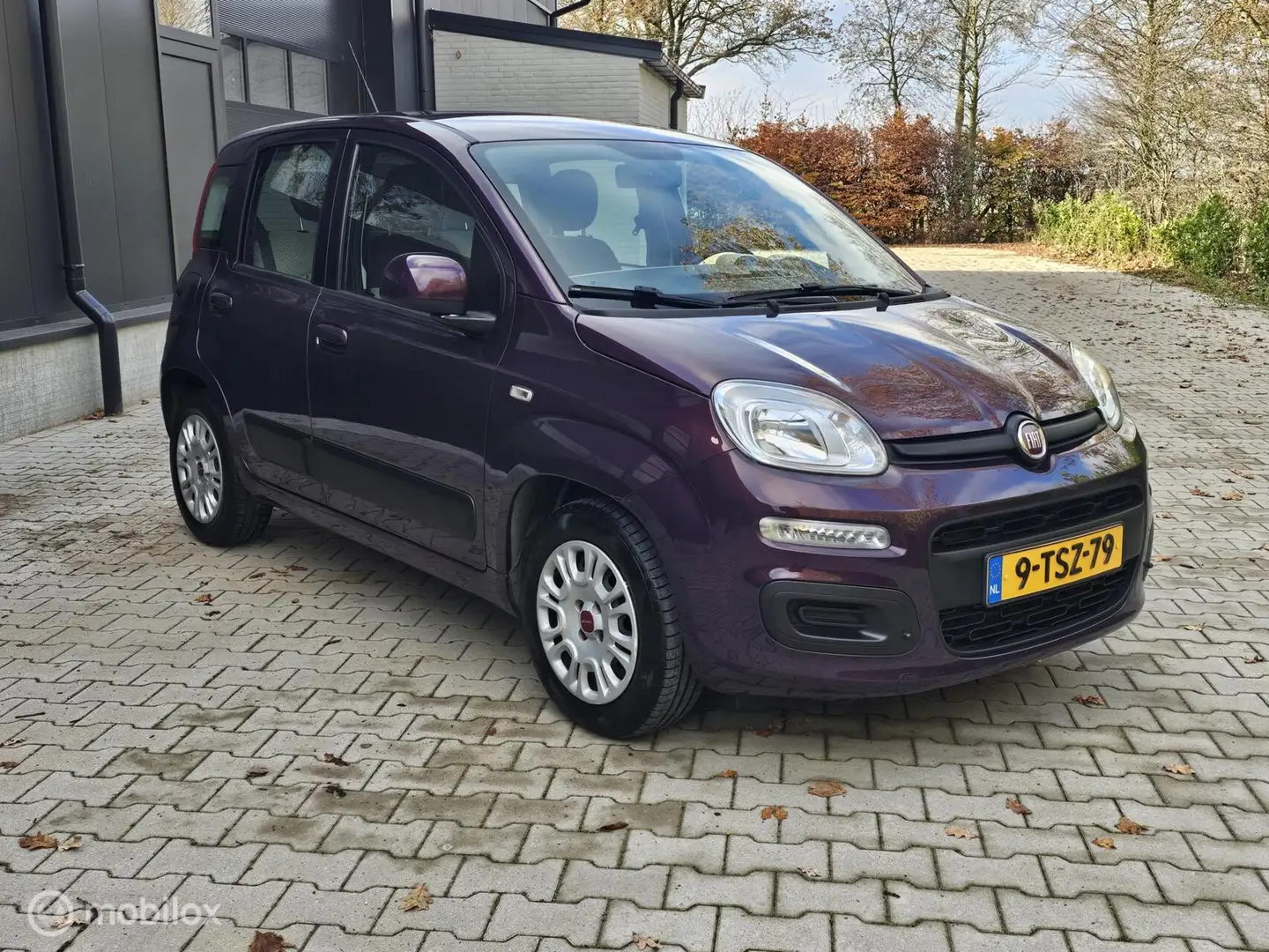 Fiat Panda 0.9 TwinAir Edizione Cool- Airco- 59.214 km NAP Mauve - 2