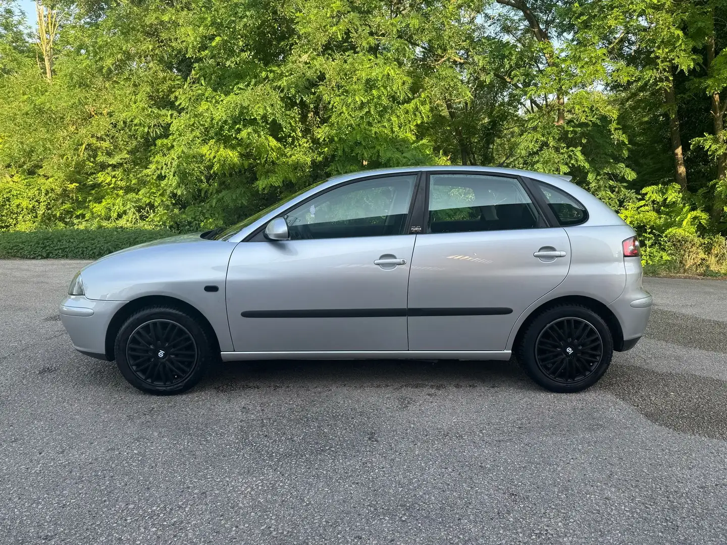 SEAT Ibiza Ibiza III 2002 5p 1.4 tdi Xplod Grigio - 2