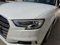 Audi A3 Sportback 30 1.6 tdi 116cv s-tronic NEOPATENTATI Weiß - thumbnail 8