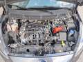 Ford Ka/Ka+ 1.2 85 cv Ultimate (UNIPROPRIETARIO - 22.000 km) Gris - thumbnail 15