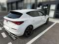 CUPRA Leon Hybride 245 CV Plug In Blanc - thumbnail 16