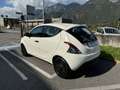 Lancia Ypsilon 1.2 5P Elef Blu-RADIO-CLIMA-5P- KM 43900! NEOP Bianco - thumbnail 5