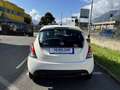 Lancia Ypsilon 1.2 5P Elef Blu-RADIO-CLIMA-5P- KM 43900! NEOP Bianco - thumbnail 4