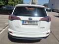 Toyota RAV4 RAV4 2,0 D-4D Active 2WD Active Weiß - thumbnail 12