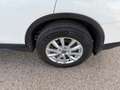 Nissan X-Trail 1.7 dCi Acenta 4x2 Blanco - thumbnail 28