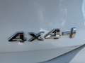 Nissan X-Trail 1.7 dCi Acenta 4x2 Blanco - thumbnail 23