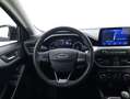 Ford Focus SW Business 1.5 Diesel 120CV Blu/Azzurro - thumbnail 11