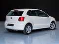 Volkswagen Polo 1.2TDI Cross Bianco - thumbnail 6