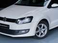 Volkswagen Polo 1.2TDI Cross Bianco - thumbnail 12