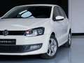 Volkswagen Polo 1.2TDI Cross Bianco - thumbnail 14