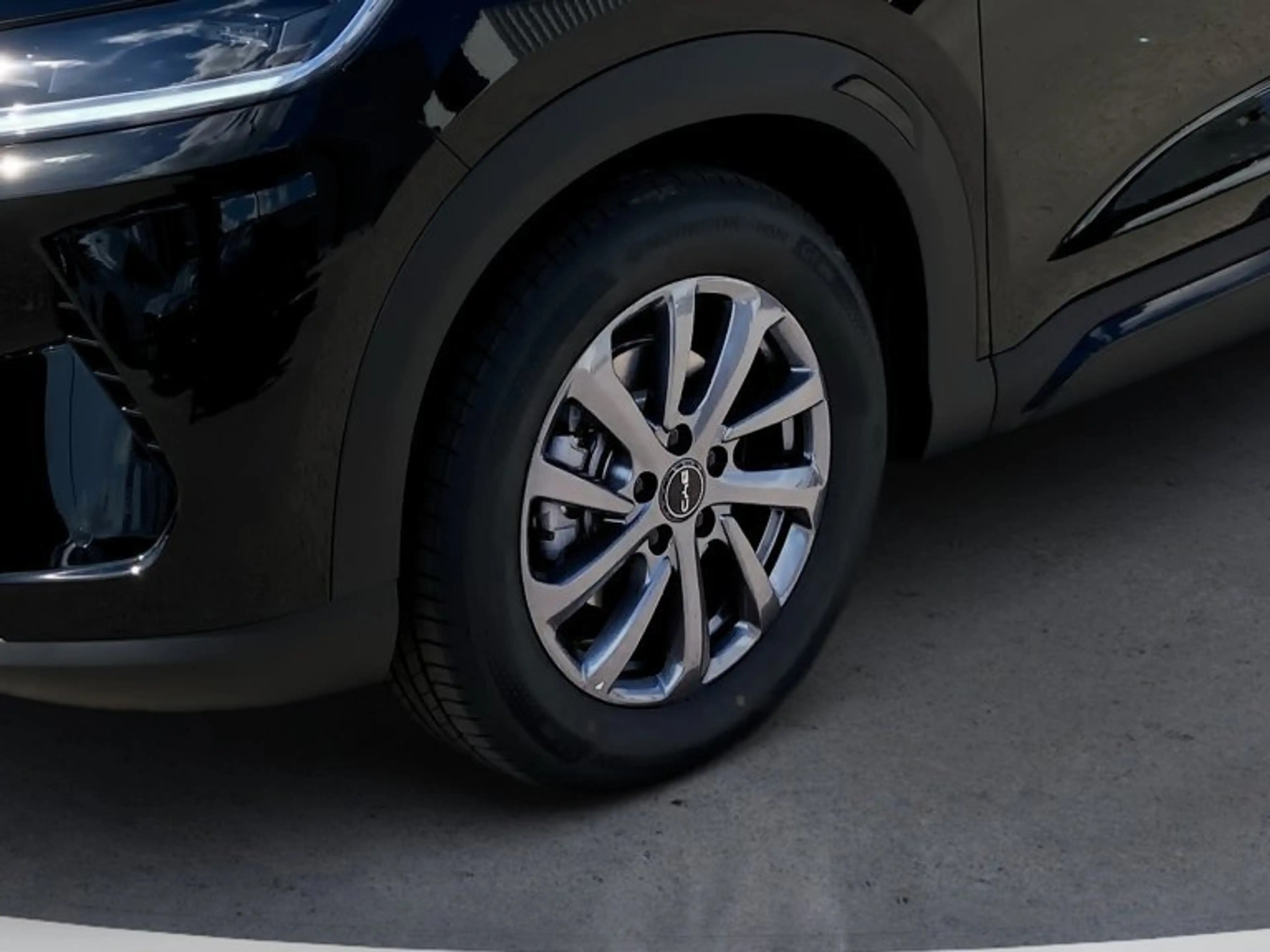 BYD Atto 2 DM-i Boost — photo 8