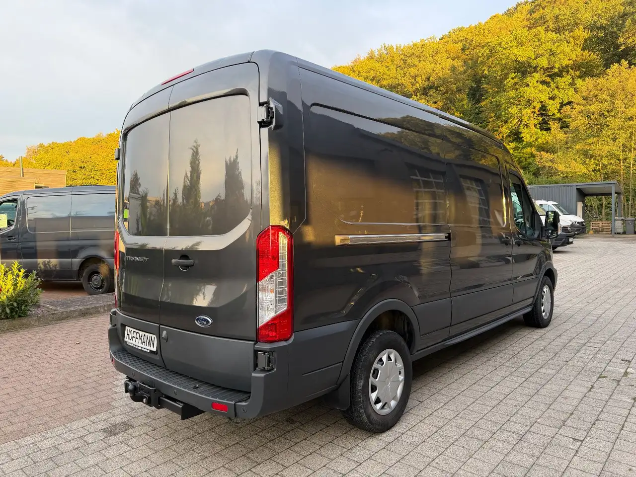 2019 Ford Transit Kasten 350 L3 Trend Standheizung, photograph 6