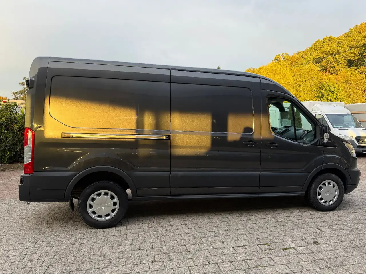 2019 Ford Transit Kasten 350 L3 Trend Standheizung, photograph 5