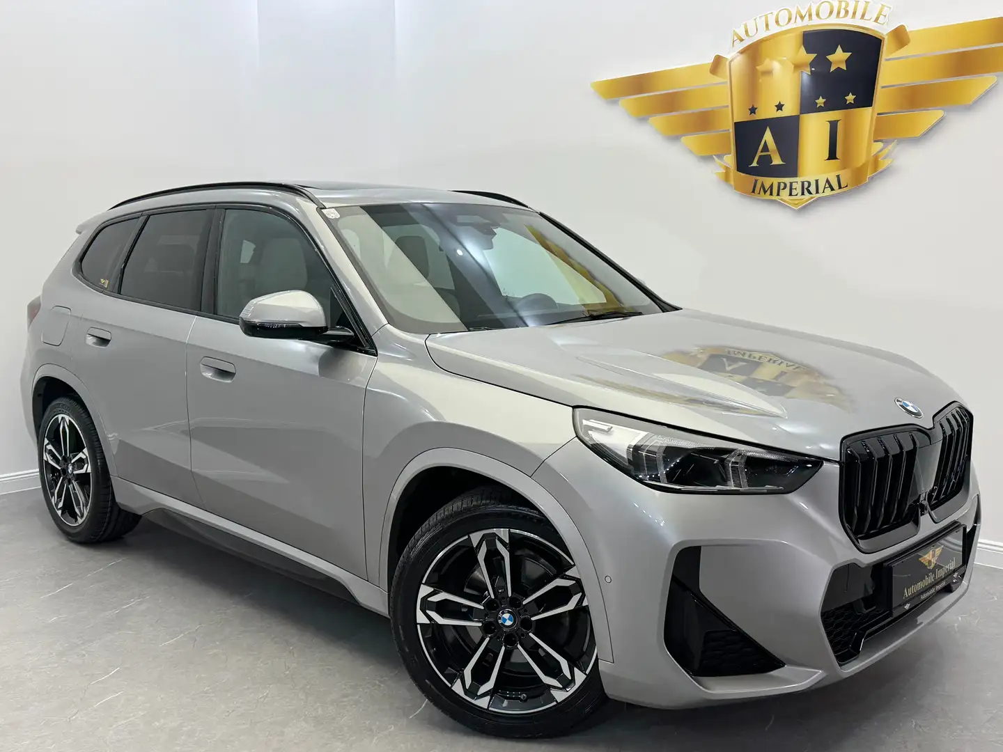 BMW X1 sDrive 18i // M-PAKET // 1. BESITZ // PANO // Grau - 1