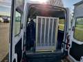Renault Master Combi TPMR F3500 L2H2  145CH handicapé 9 PLACES TV Blanc - thumbnail 11