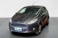 Ford Fiesta 5 Porte 1.4  Titanium Grigio - thumbnail 1