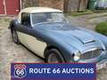 Austin-Healey 100 100-6 Schwarz - thumbnail 3