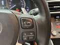 Lexus IS 300 300h Hybrid Business Line Safety-pack Luxery-pack Grau - thumbnail 28