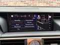 Lexus IS 300 300h Hybrid Business Line Safety-pack Luxery-pack Grau - thumbnail 19