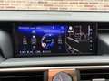Lexus IS 300 300h Hybrid Business Line Safety-pack Luxery-pack Grau - thumbnail 17