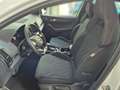 Skoda Karoq 4x4 SPORTLINE TDI Weiß - thumbnail 11