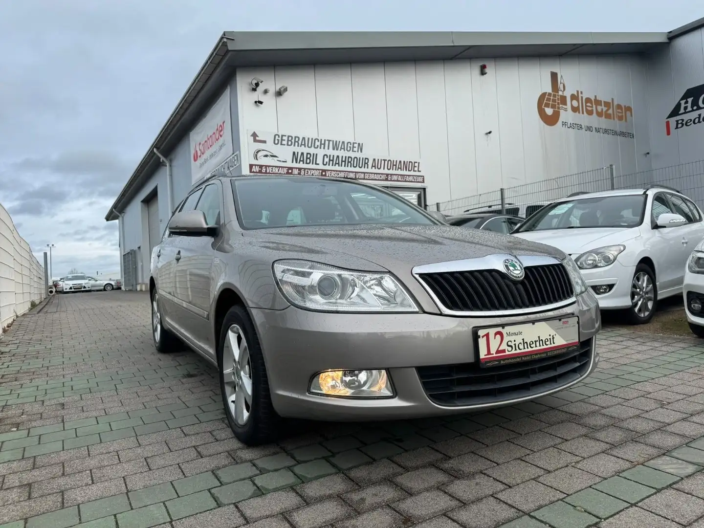 Skoda Octavia Combi Family Beige - 1