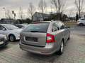 Skoda Octavia Combi Family Beige - thumbnail 10