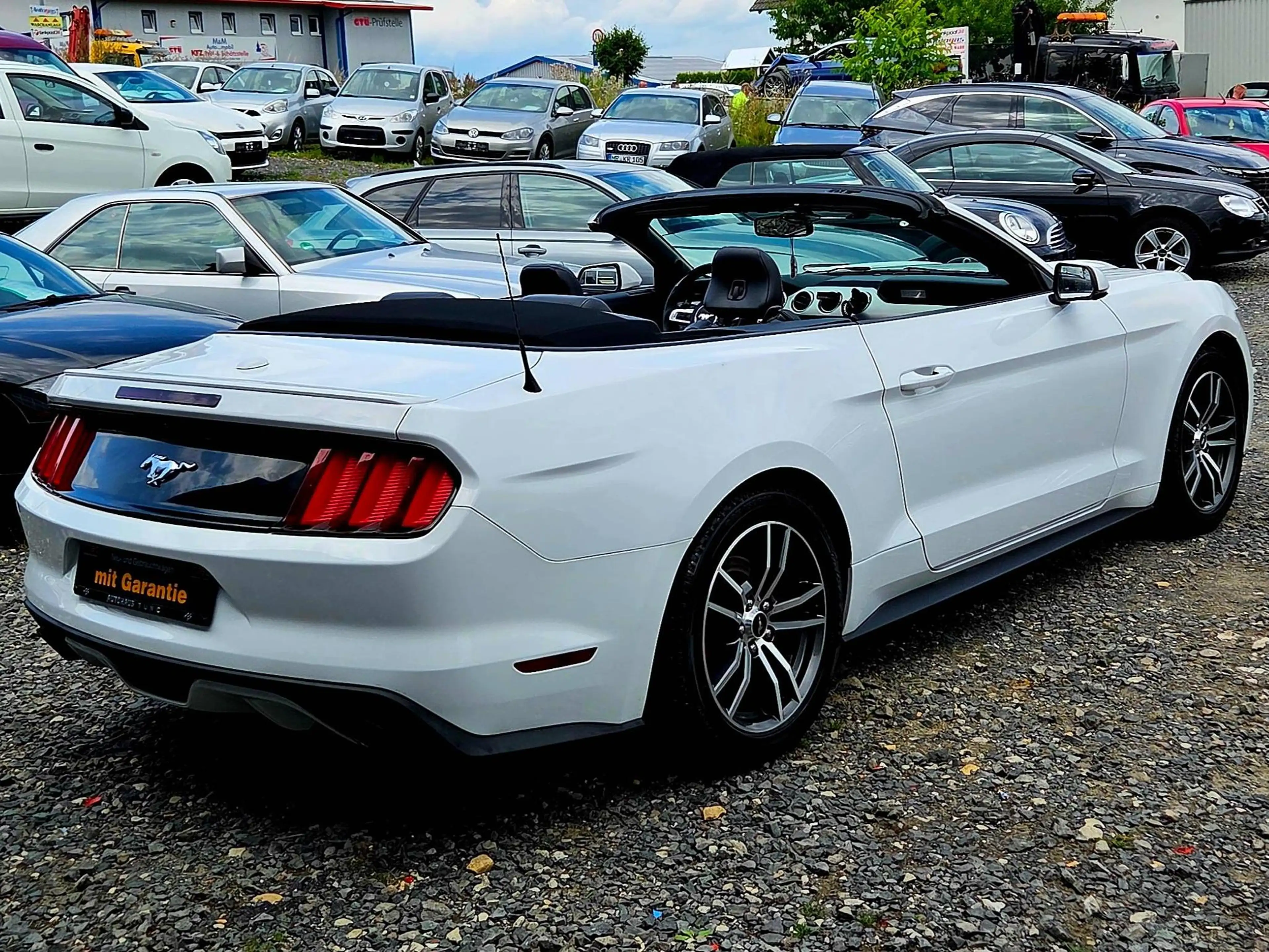Ford Mustang Convertible Sport, Automatik, Rückfahrkamera — photo 4