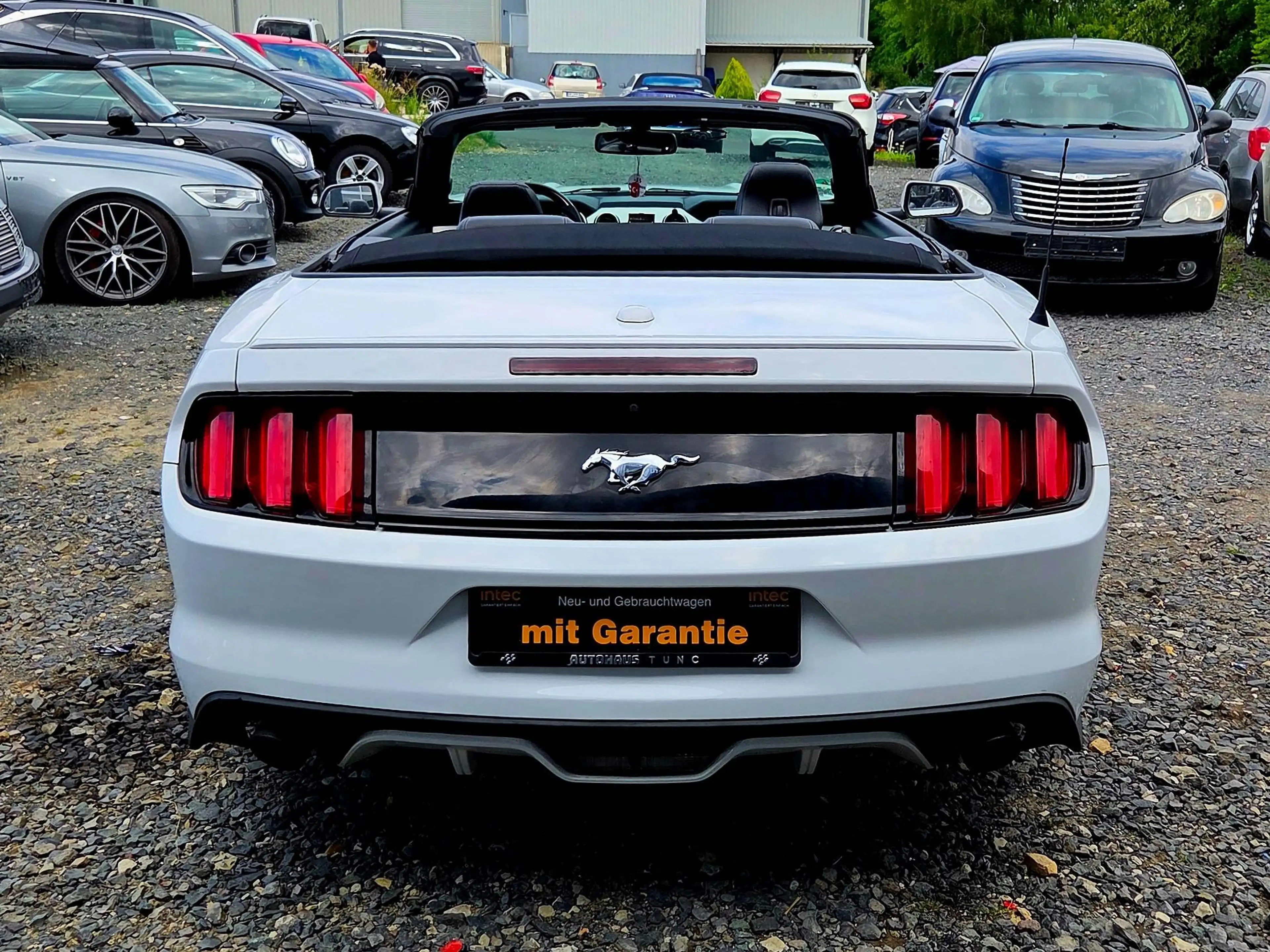 Ford Mustang Convertible Sport, Automatik, Rückfahrkamera — photo 5