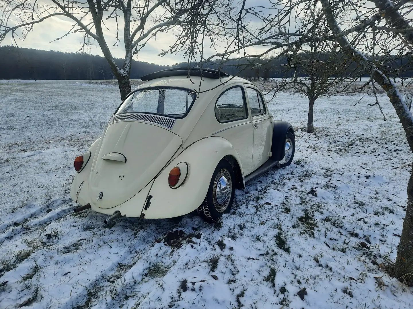 Volkswagen Käfer Faltdach Fehér - 2
