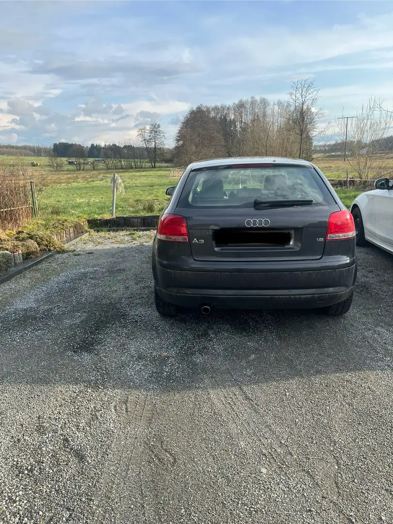 Audi A3 1.6 Ambiente Grau - 2