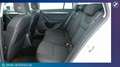 Skoda Octavia Octavia Combi 2,0 Style TDI 4x Bianco - thumbnail 5