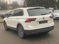 Volkswagen Tiguan 2.0 TDI Comfortline BMT/Start-Stopp ~Navi~DSG~AHK Weiß - thumbnail 5
