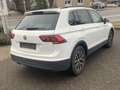Volkswagen Tiguan 2.0 TDI Comfortline BMT/Start-Stopp ~Navi~DSG~AHK Weiß - thumbnail 4