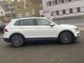 Volkswagen Tiguan 2.0 TDI Comfortline BMT/Start-Stopp ~Navi~DSG~AHK Weiß - thumbnail 6
