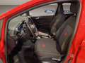Ford Fiesta 5p 1.0 ecoboost h ST-Line 125cv Rosso - thumbnail 9