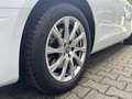 Audi A4 Avant 40 TDI quattro StandHzg Sportsitze RFK Weiß - thumbnail 22