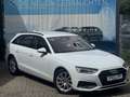 Audi A4 Avant 40 TDI quattro StandHzg Sportsitze RFK Weiß - thumbnail 17