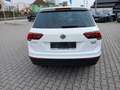Volkswagen Tiguan Comfortline TDI SCR 4MOTION Wit - thumbnail 7
