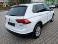 Volkswagen Tiguan Comfortline TDI SCR 4MOTION Wit - thumbnail 6