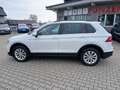 Volkswagen Tiguan Comfortline TDI SCR 4MOTION Wit - thumbnail 12